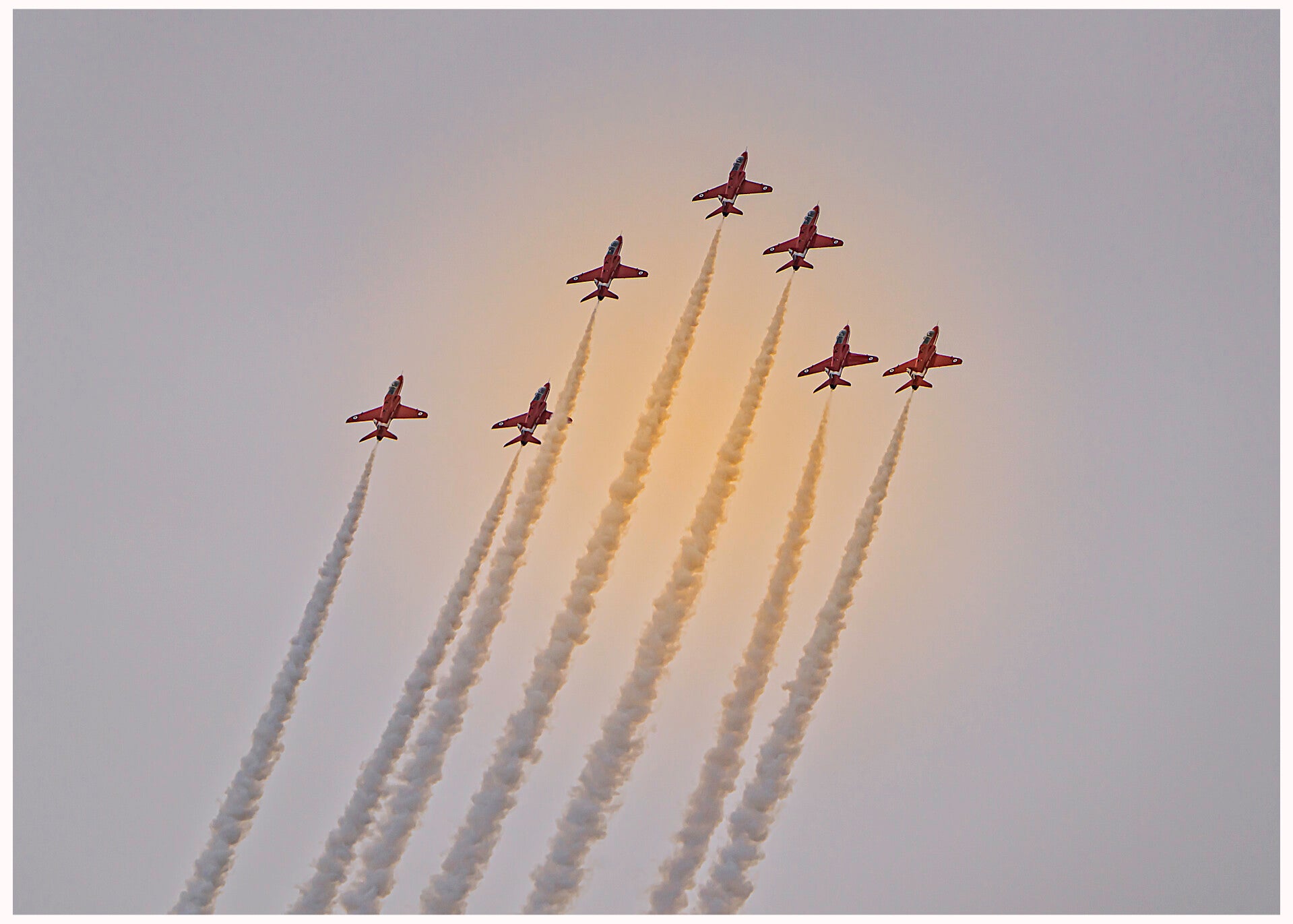 Sun Reds