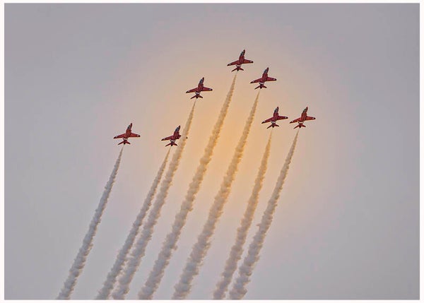 Sun Reds