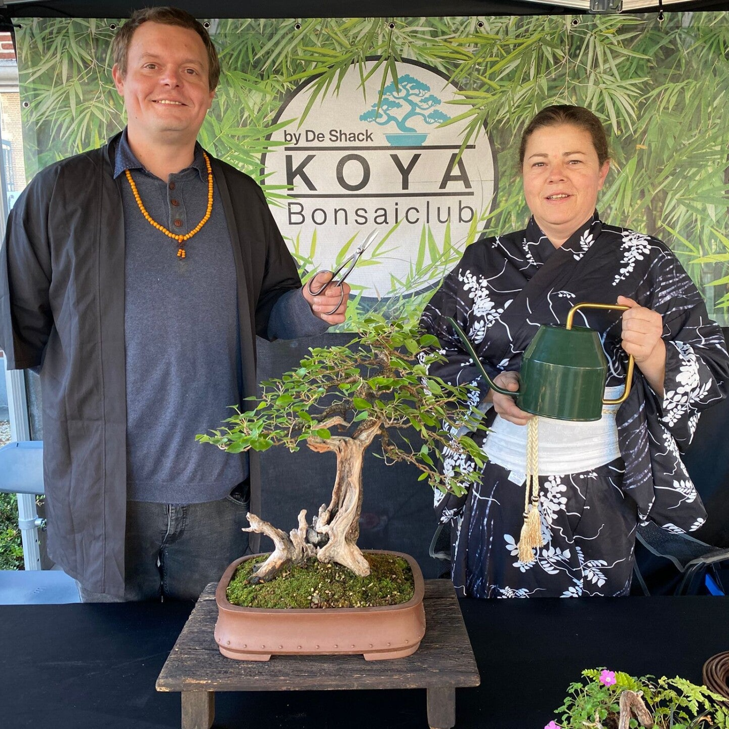 Workshop Bonsai (29/1) UiTPAS-kansentarief