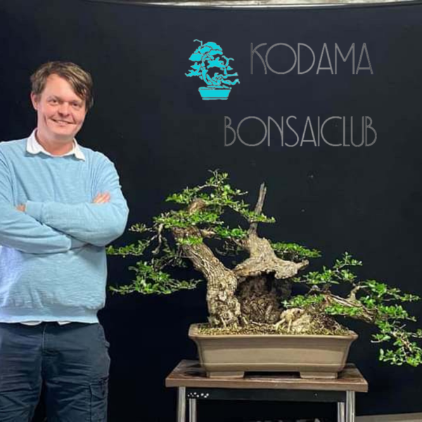 Workshop Bonsai (14/11) UiTPAS-kansentarief