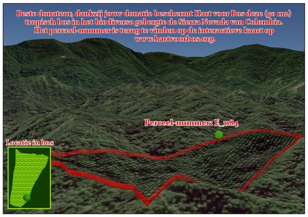 Donatie 25 euro kavel 2