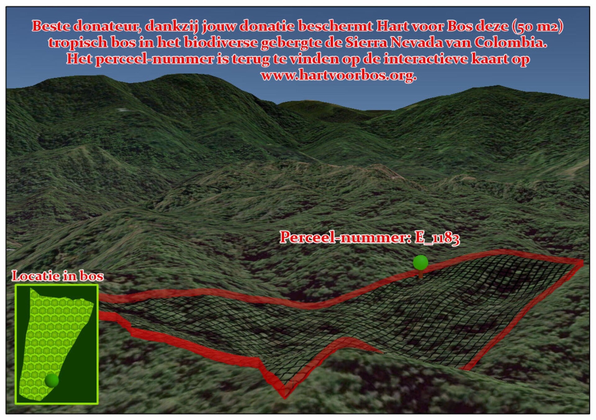 Donatie 25 euro kavel 3