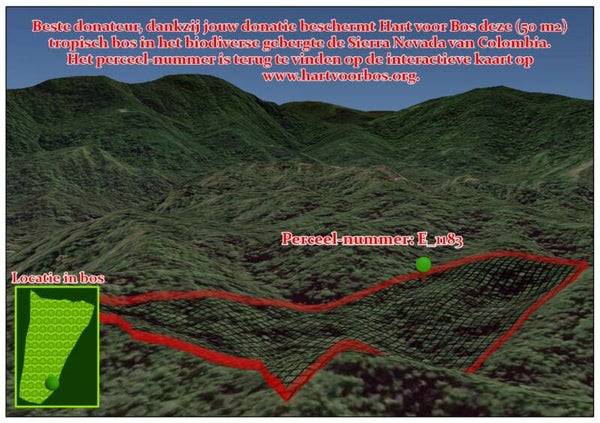 Donatie 25 euro kavel 3