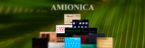 AMIONICA