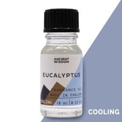 Huis Parfum/Geur Olie - 10ml - Eucalyptus