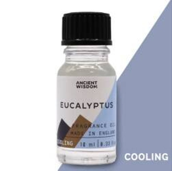 Huis Parfum/Geur Olie - 10ml - Eucalyptus
