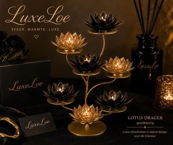 Complete set LOTUS