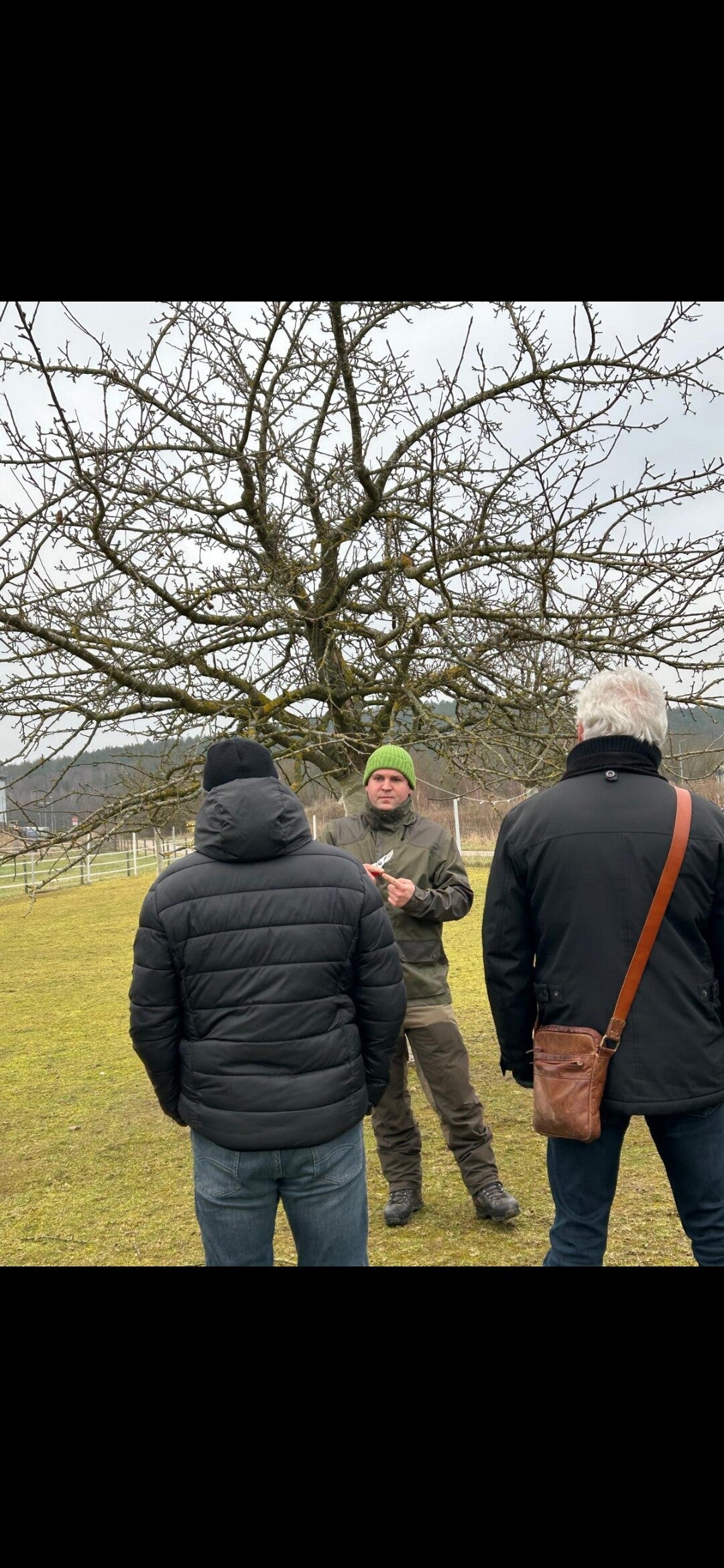Obstbaumschnitt-Kurs in der Pfalz – Pfalzschnibbler erklärt die richtige Schnitttechnik 