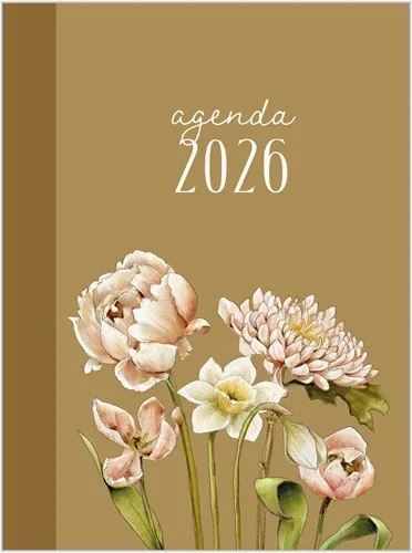 Agenda 2026 Studio Schilderachtig