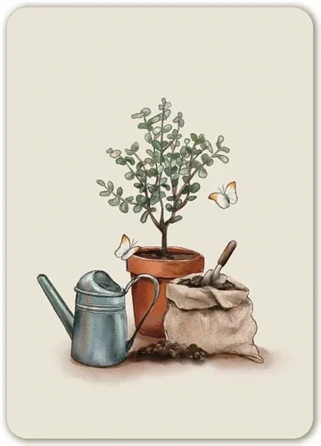 Blanco Plant met gieter