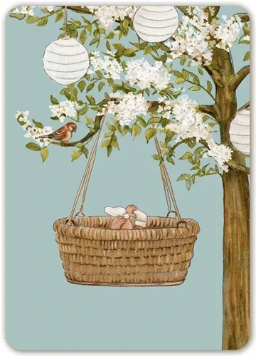 Geboorte jongen wieg