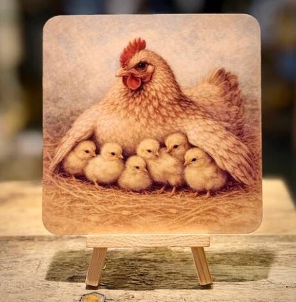 Hen met kuikens