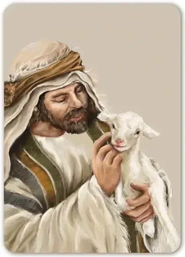 Herder met schaap