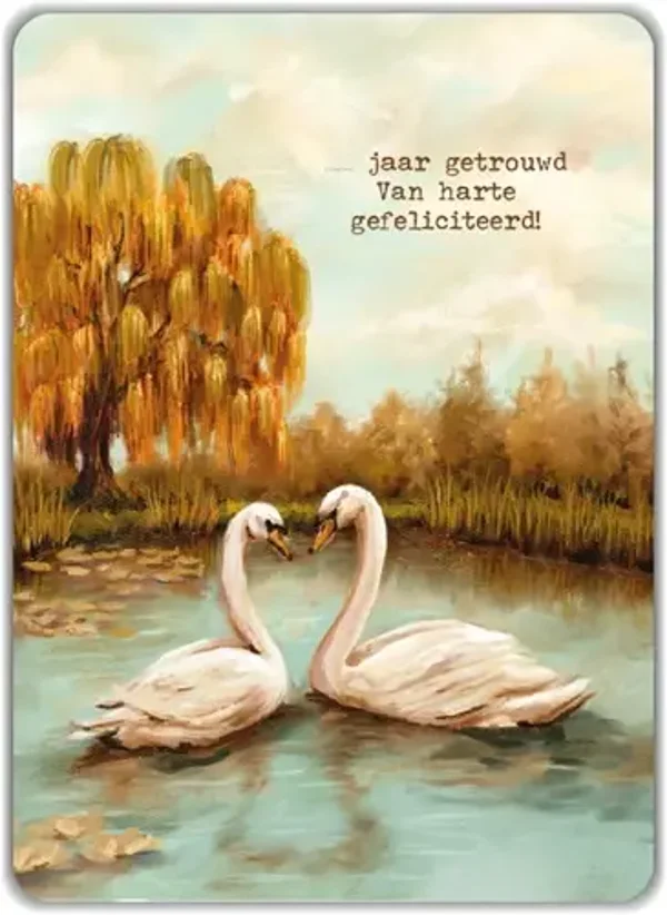 Huwelijksjubileum zwanen