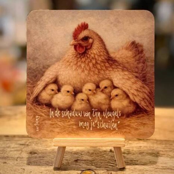 In de schaduw van Zijn vleugels