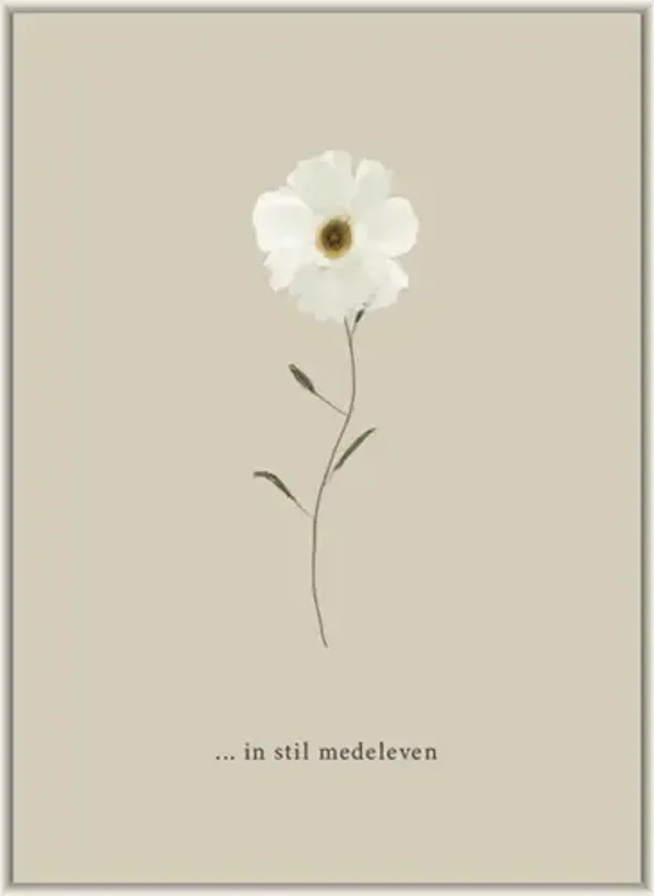 In stil medeleven