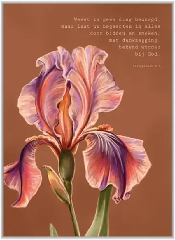 Weest in geen ding bezorgd Filippenzen 4:6