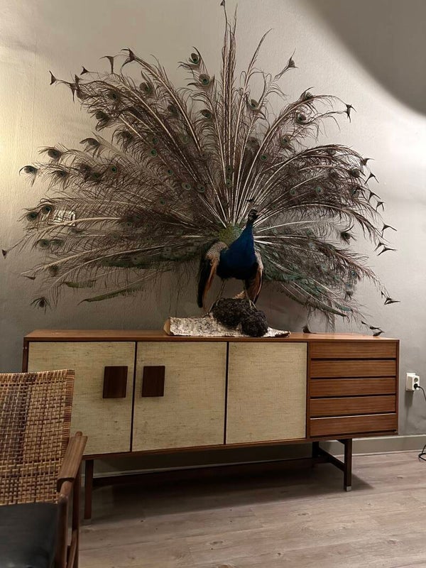 Fristho Franeker sideboard design Inger Klingenberg