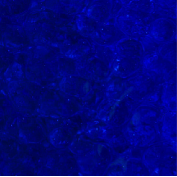 Corella 221