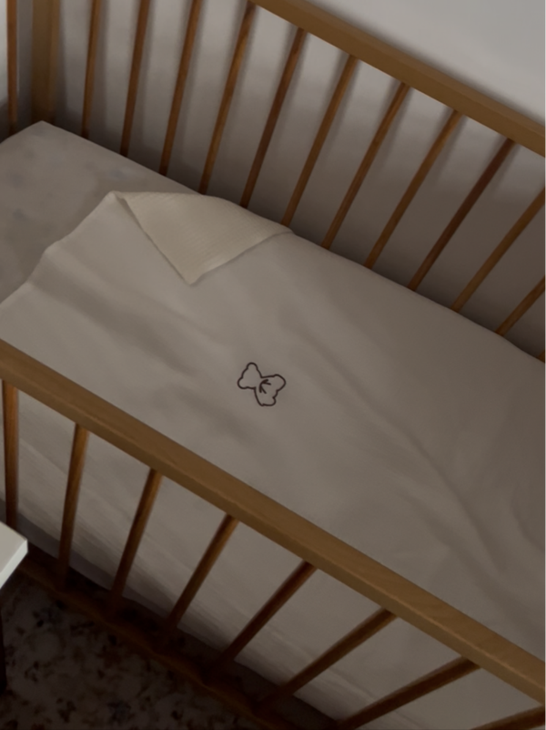 Couverture Teddy 🧸