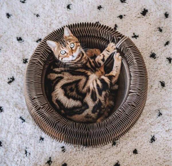 District 70 - MAZE 3-in-1 opvouwbare kattenmand