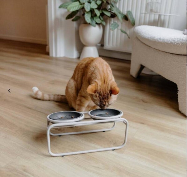 District 70 - BUTLER Voerbakstandaard voor katten