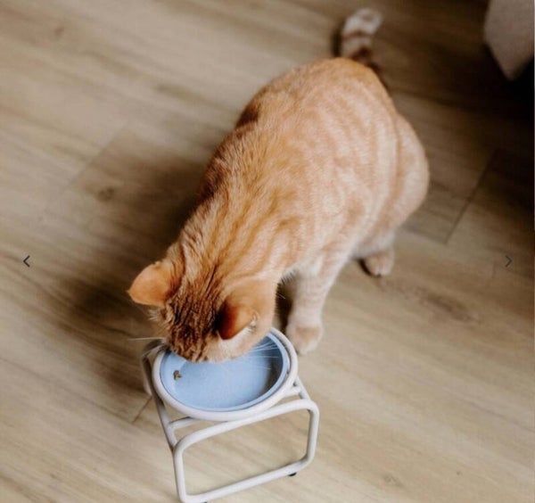 District 70 - BUTLER Single Voerbakstandaard voor Katten