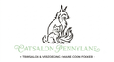 catsalon pennylane