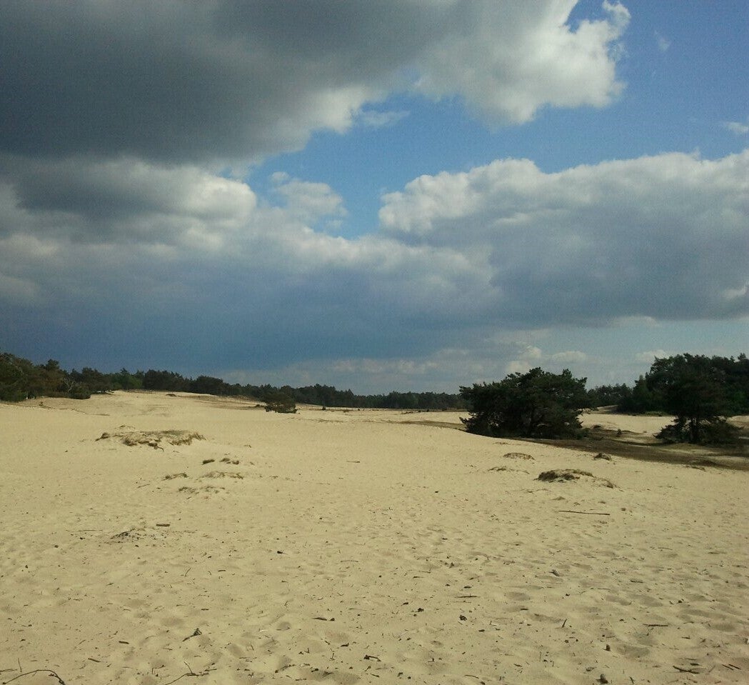 Veluwe route vanuit Otterlo | Visit Otterlo
