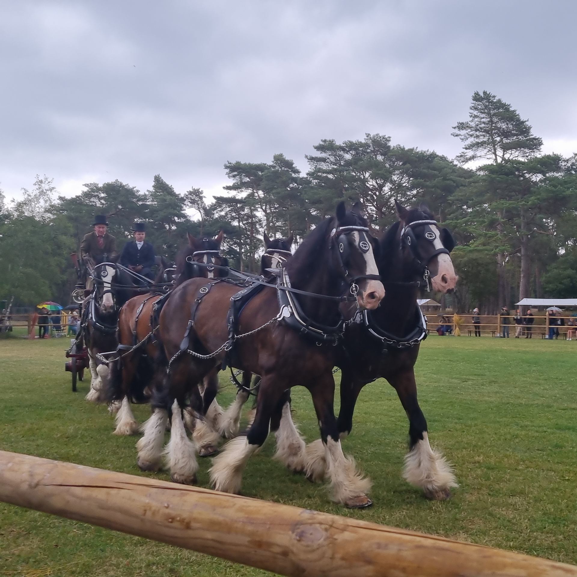NP De Hoge Veluwe -  Weekend van het Paard Otterlo