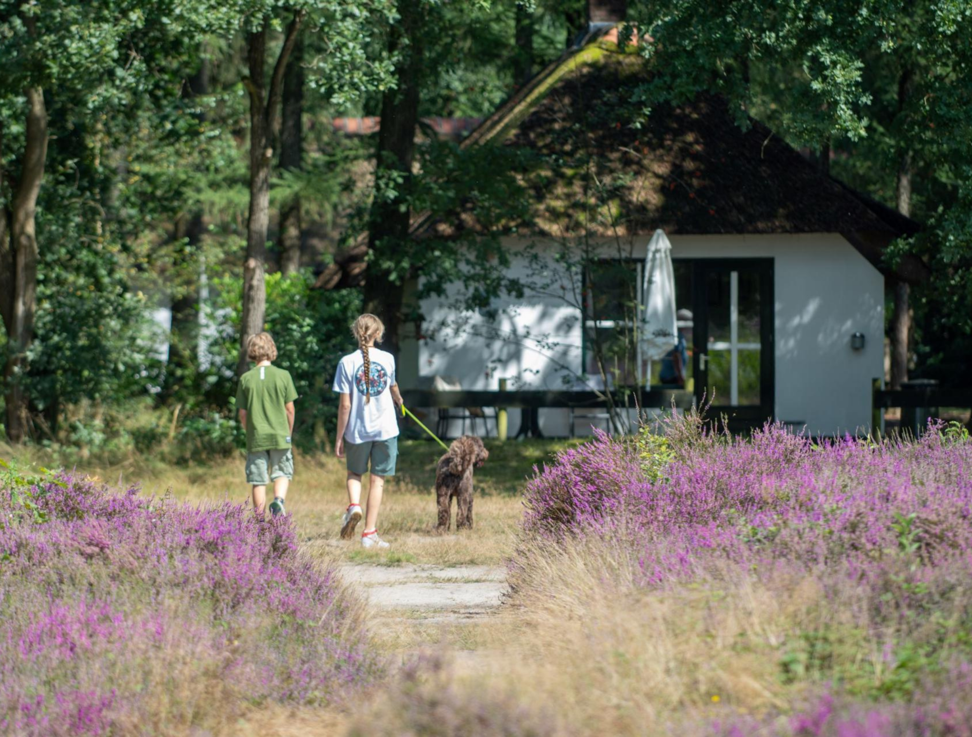 Wandel over smalle paadjes en luister wat se natuur jou te vertellen heedt. Bezoek Otterlo op de Veluwe.