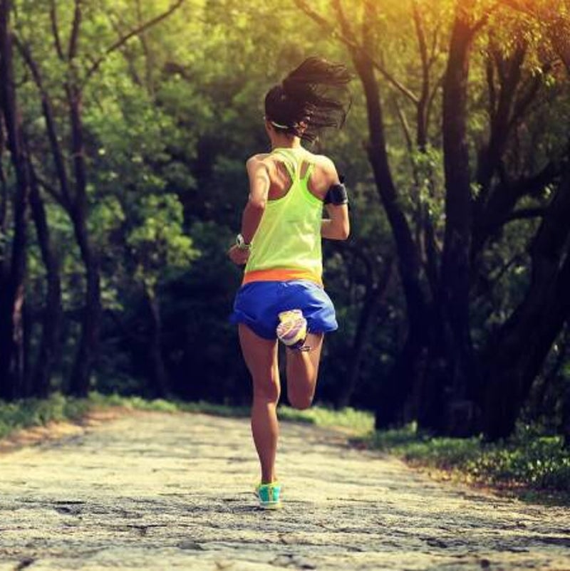 Otterlo Trailrun Zomer Edtion 2025