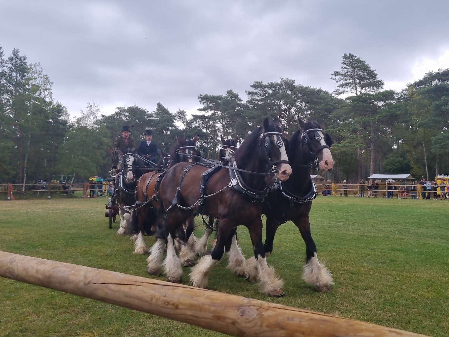 Weekend van het Paard - Nationaal Park De Hoge Veluwe