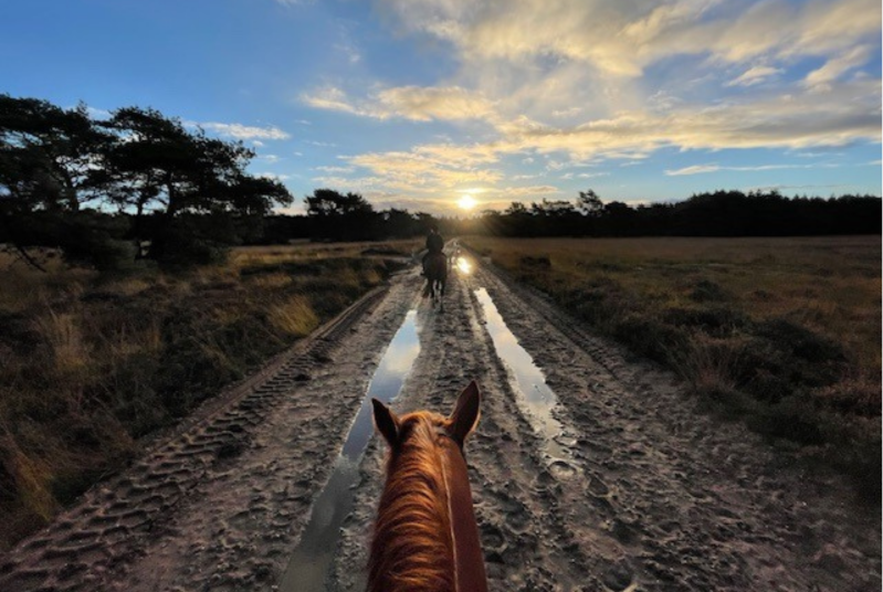 Sijs & Mees - Visit Otterlo