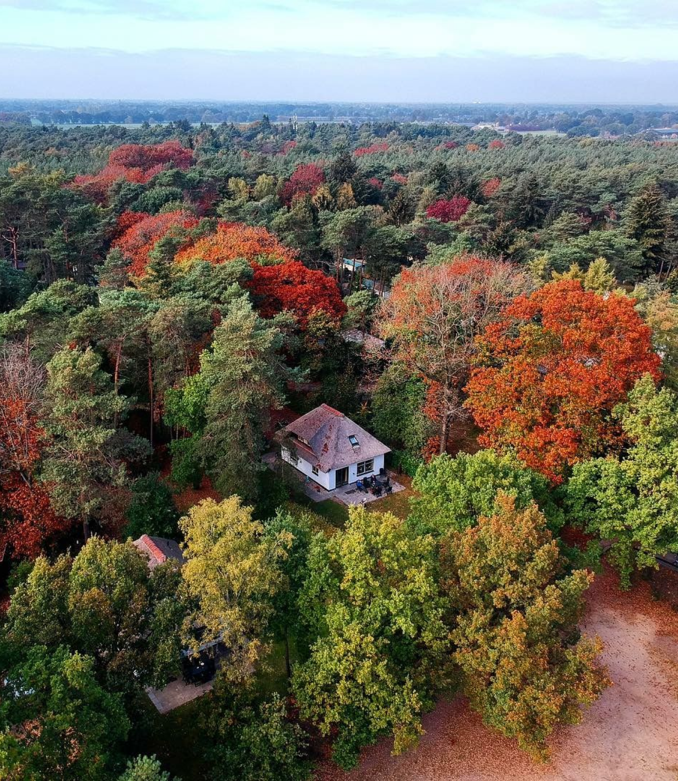 Vakantiepark Het Lorkenbos lucht foto, bosrijk gelegen in Otterlo op de Veluwe. Met rolstoeltoegankelijke accomodaties.