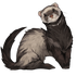 Mae's Ferrets