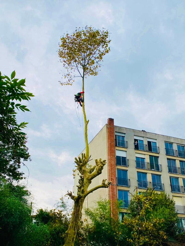 Élagueur Jardinier Paysagiste Maçon Terassier Couvreur .