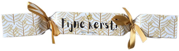 fijne kerst snoepjes - the big gifst