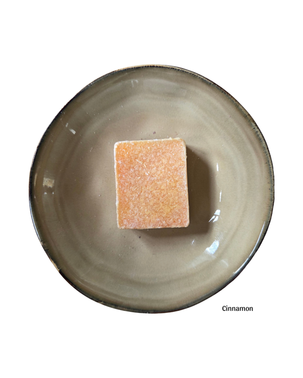 Geur blokje ByBass - cinnamon