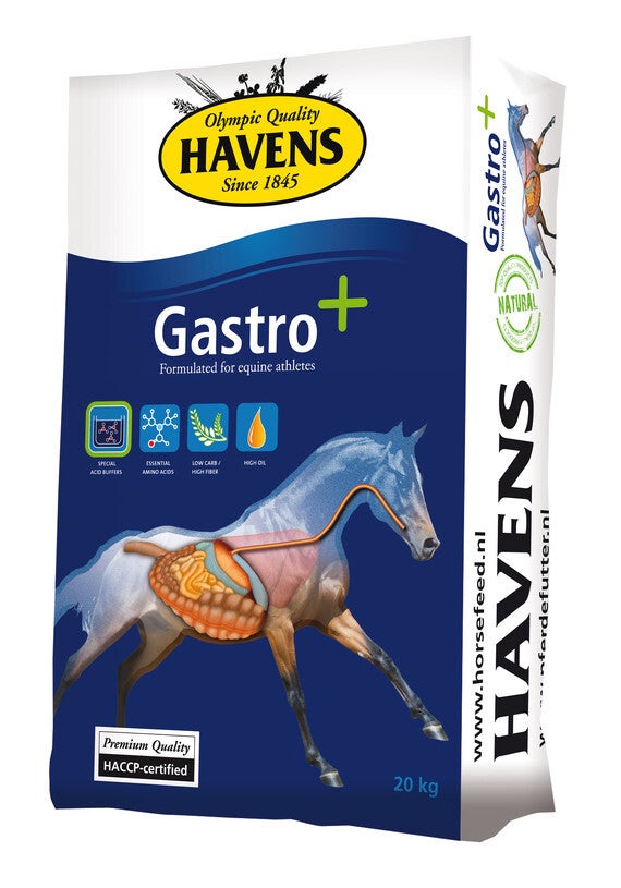 Havens - GASTRO+ - 20kg