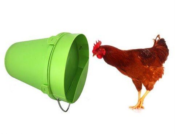 MS - Ligemmer - 5.5L