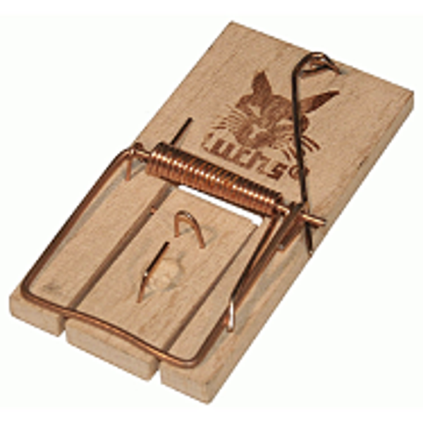 Edialux - Luchs - Muizenval hout