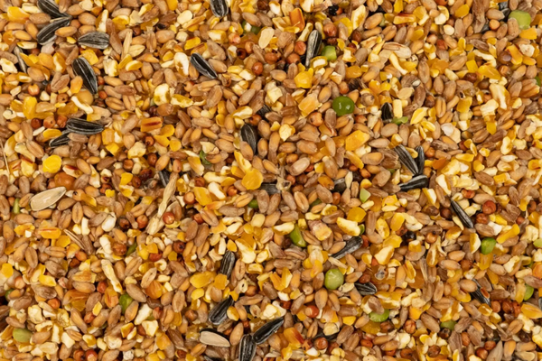 Roosens - Normandische graanmengeling - 20kg