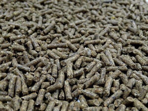 Havens - Schapen - Fokkorrel - 25kg