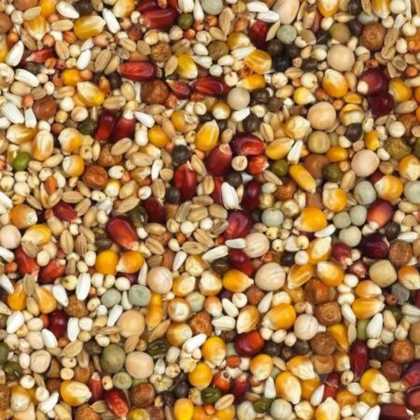 Vanrobaeys - 8 Super Vlucht Bordeaux - 20kg
