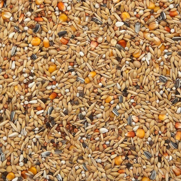 Vanrobaeys - 16 Winter/Rust - 20kg