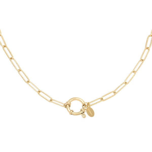 Stainless steel choker ketting Bellino