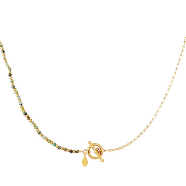 Stainless steel choker ketting Andria
