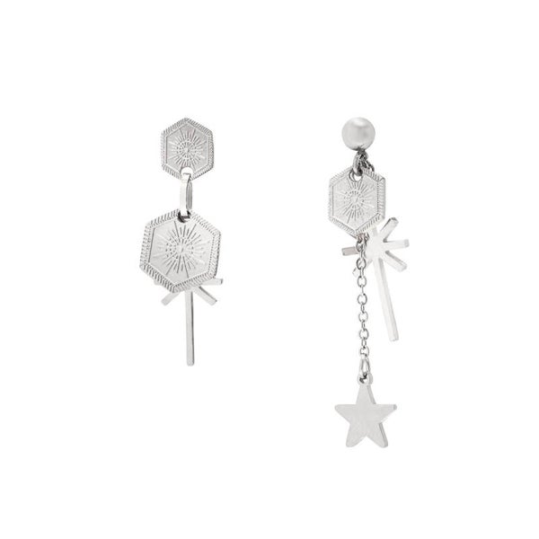 Stainless steel oorbellen Caneva Silver