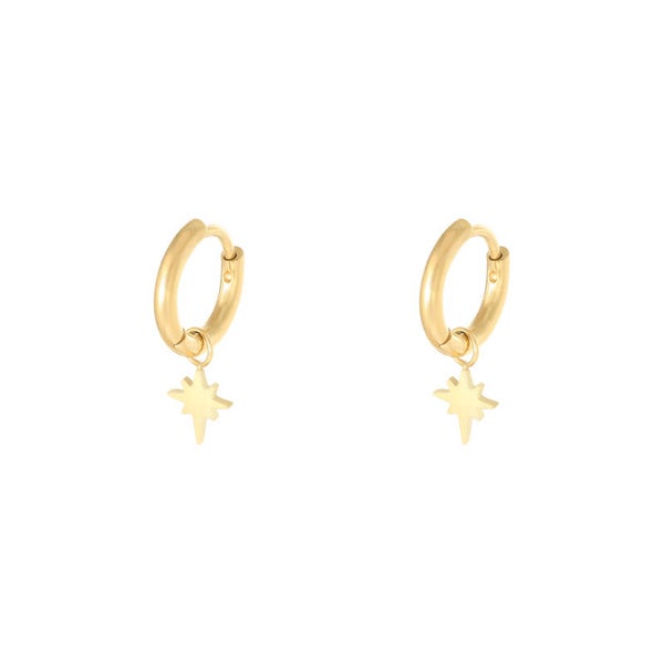 Stainless steel oorbellen Rio Gold